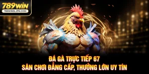 Đá Gà Trực Tiếp 67 - Sân Chơi Đẳng Cấp, Thưởng Lớn Uy Tín