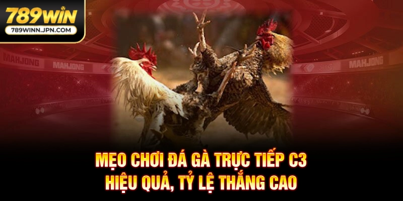 Mẹo chơi đá gà trực tiếp C3 hiệu quả, tỷ lệ thắng cao